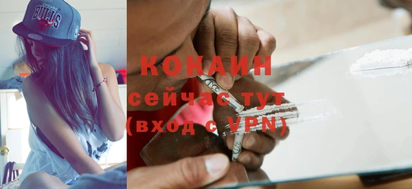 сатива Волоколамск