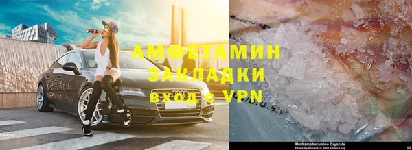 сатива Волоколамск