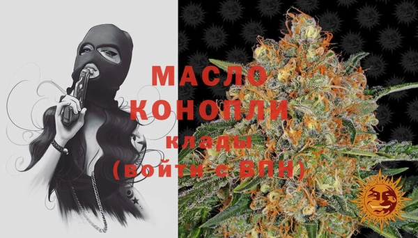 сатива Волоколамск