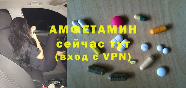 сатива Волоколамск