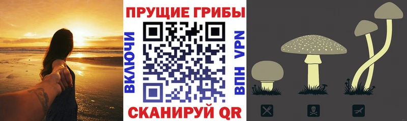 Псилоцибиновые грибы ЛСД  Кострома 